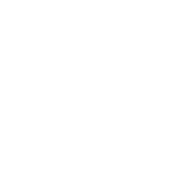 TL Lausanne